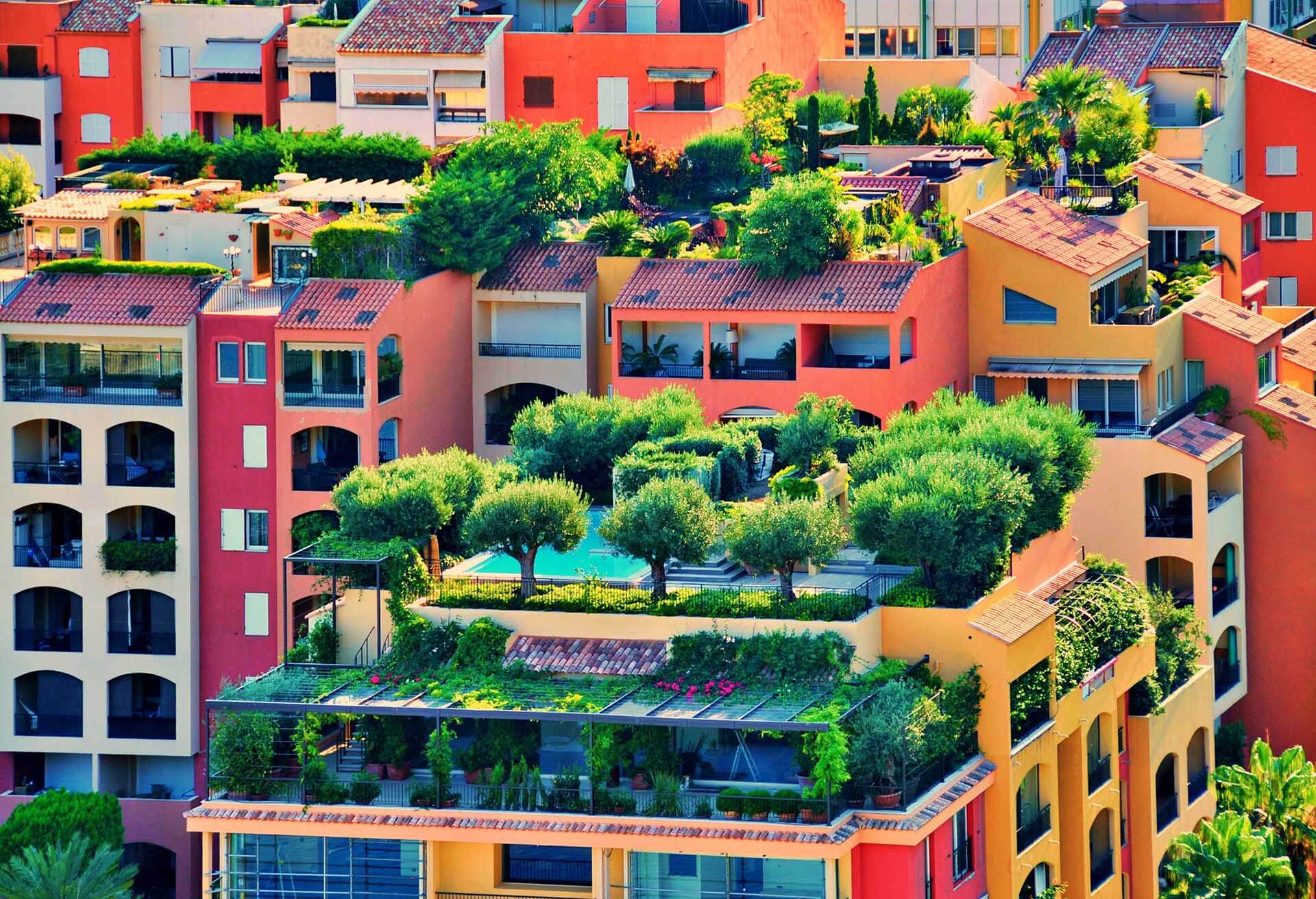 Aerial-roof-garden.jpg